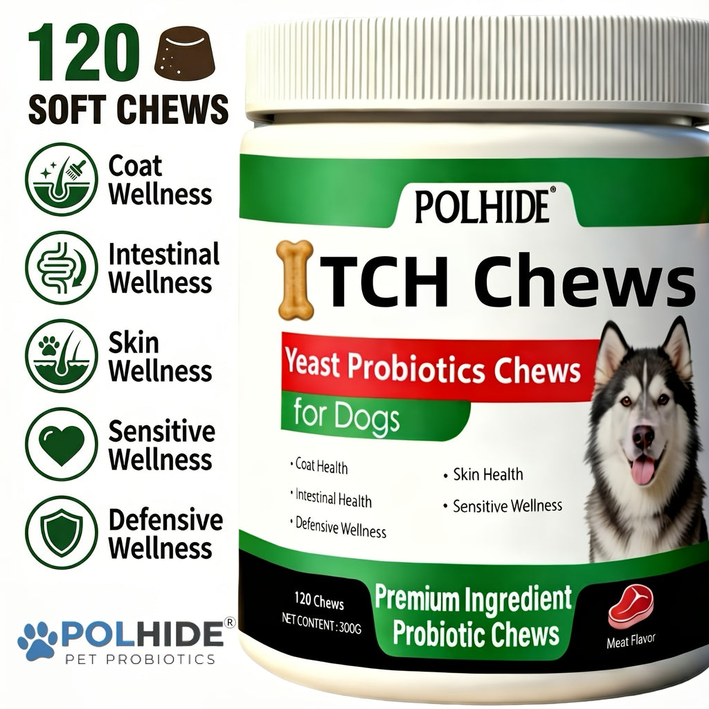 Dog Probiotic Supplement Chews, 120 Count Meat Flavor Yeast Soft Chews in One Bottle for Everyday Canine Skin, Coat and Digestive Care Routines