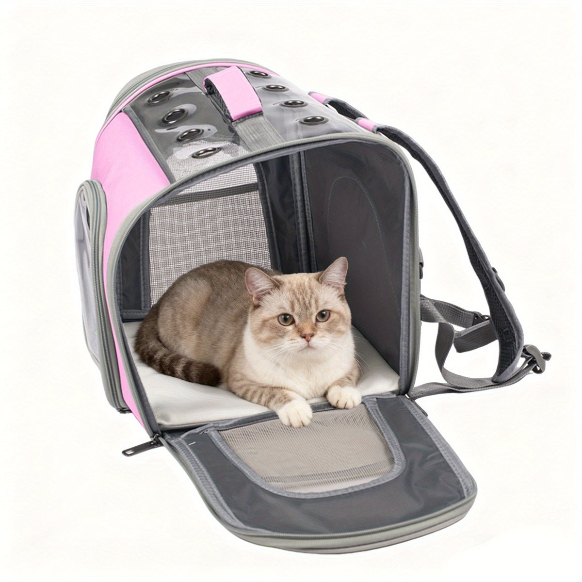 Cat Backpack with Front Opening and Breathable Mesh Window, Foldable Pet Carrier in Purple, Pink, Gray or Blue for Walks and Travel