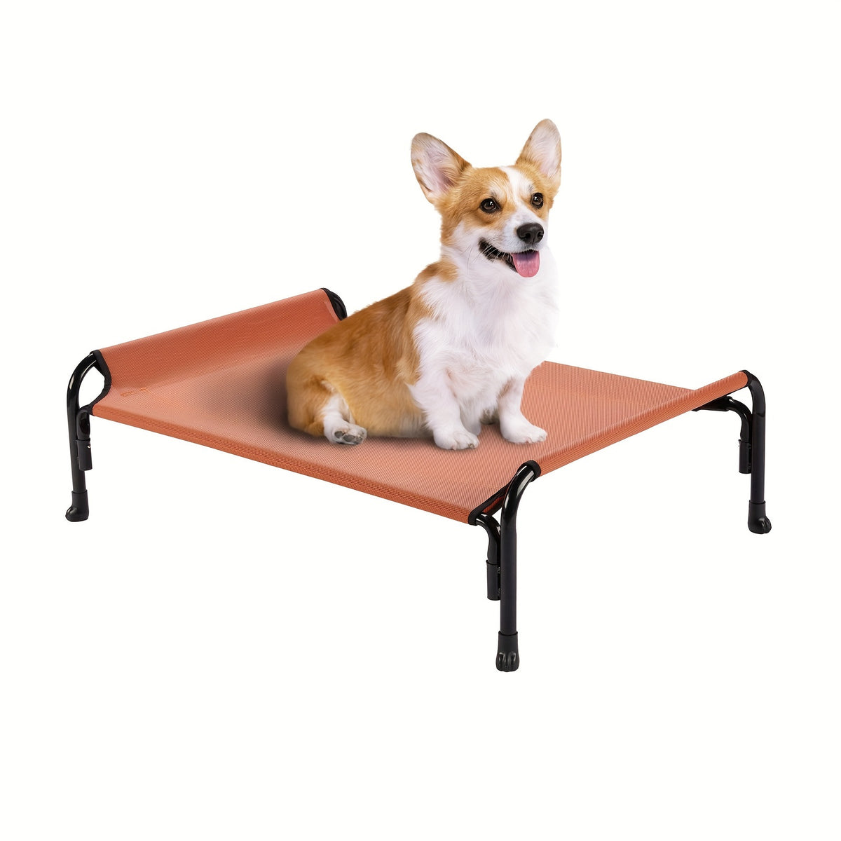 Elevated Dog Bed with Sloped Headrest, Breathable Raised Pet Cot in M to XXL Sizes for Indoor Lounging, Outdoor Rest and Camping