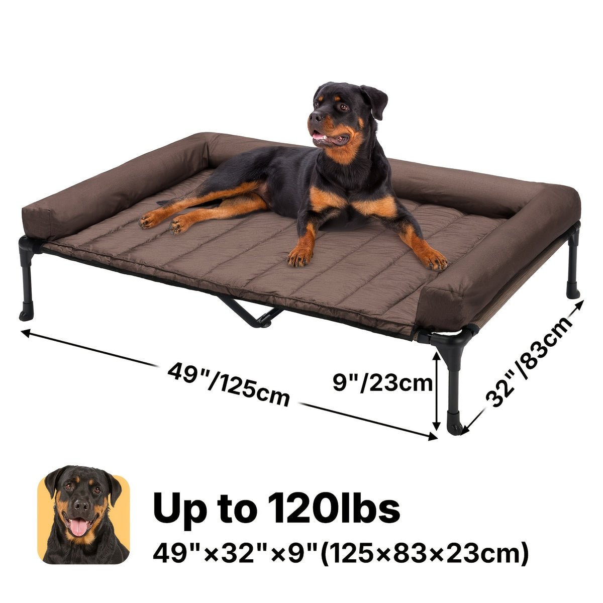 Elevated Dog Bed with Removable Pillow-Top Mat, Three-Sided Bolster Pet Cot with Breathable Teslin Mesh, Steel Frame and Non-Slip Feet in Four Sizes