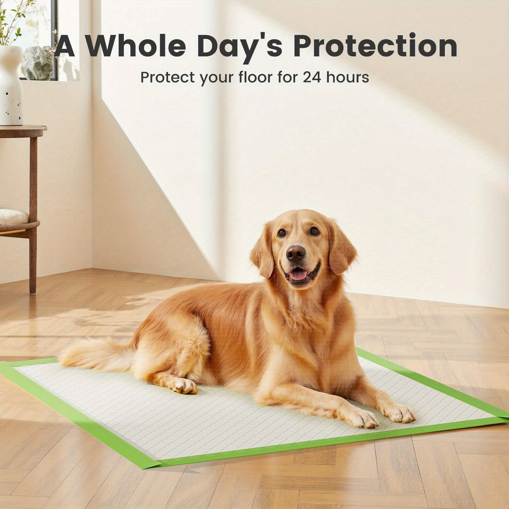 Jumbo Dog Pee Pads 28 x 34 Inch, Six-Layer Disposable Puppy Potty Training Pads with Absorbent Core and PE Backing, 50 or 100 Count Options
