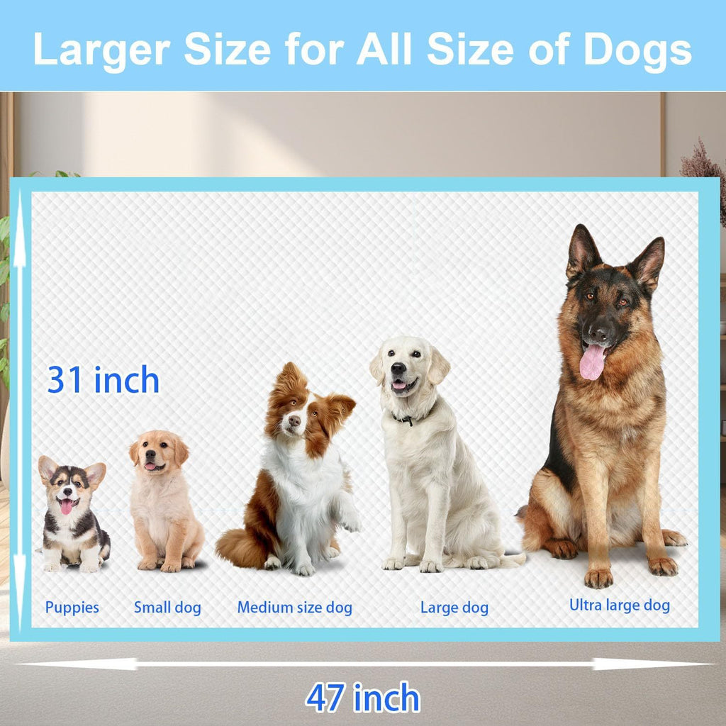 Extra Large Puppy Pee Pads 31 x 47 Inch, 40 Count Thickened Disposable Absorbent Dog Potty Training Pads with Leak Protection for Indoor Cleanup