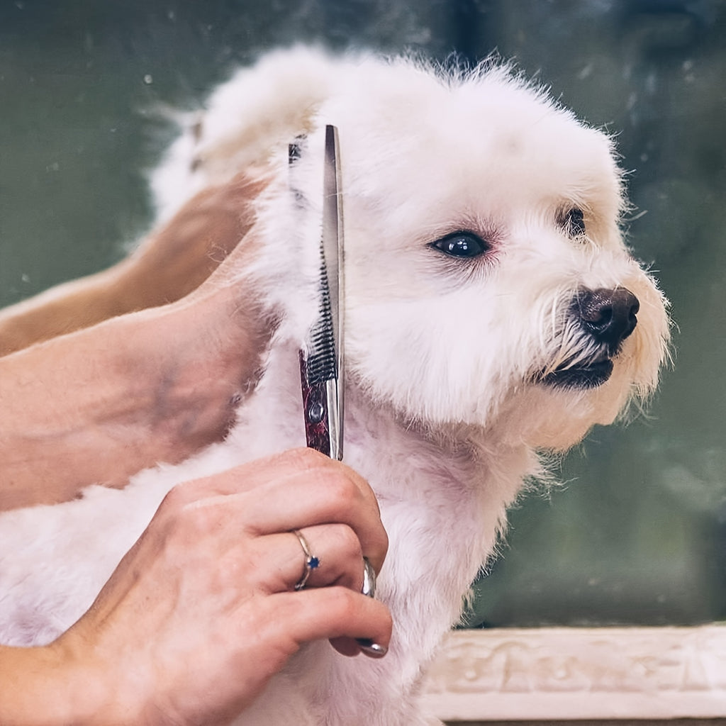 Pet Grooming Scissors 6-Piece Set with Titanium-Coated 4CR Stainless Steel and Rounded Tips, Manual Coat Trimming Tools for Dogs and Cats