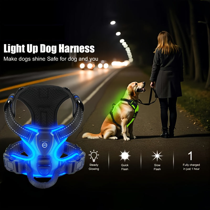 Light Up Dog Harness, Rechargeable LED Night Walking Vest with 3 Lighting Modes, Reflective Strips, Padded Mesh and Adjustable Straps, M L XL