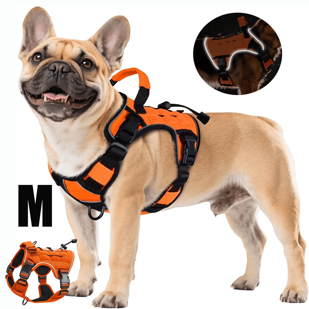 Tactical Dog Harness Vest with Adjustable Reflective Design, Machine Washable Outdoor Walking and Obedience Training Gear in S, M, L and XL