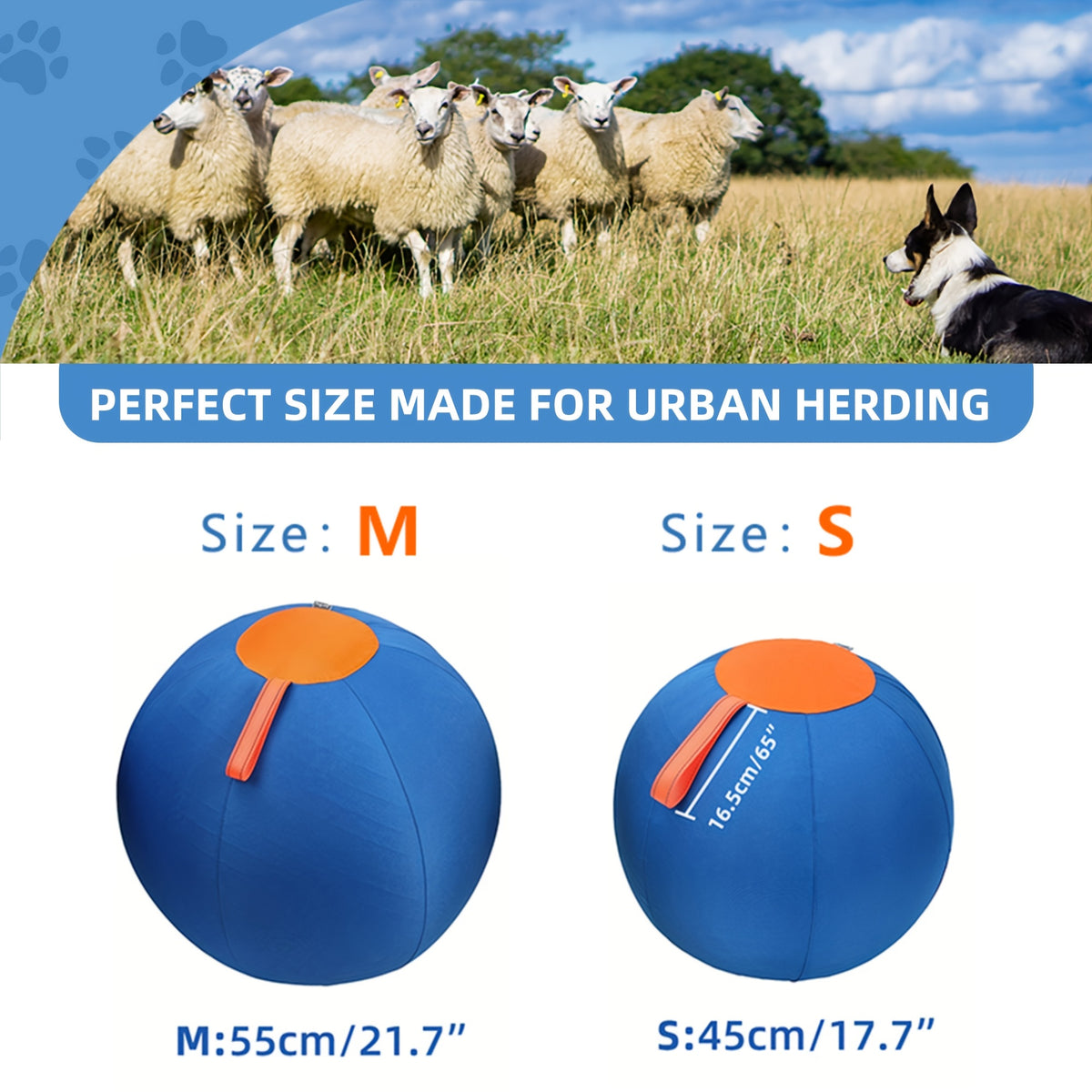 Dog Herding Training Ball for Supervised Outdoor Chase and Push Games, Orange and Blue Play Options Including Upgraded M and XXS Variants