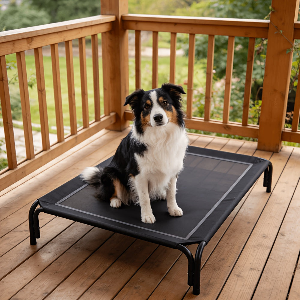 Tool-Free Elevated Dog Bed with Washable Breathable Mesh, 8-Inch Raised Outdoor Dog Cot with Metal Frame and Anti-Slip Feet for Home, Patio and Camping