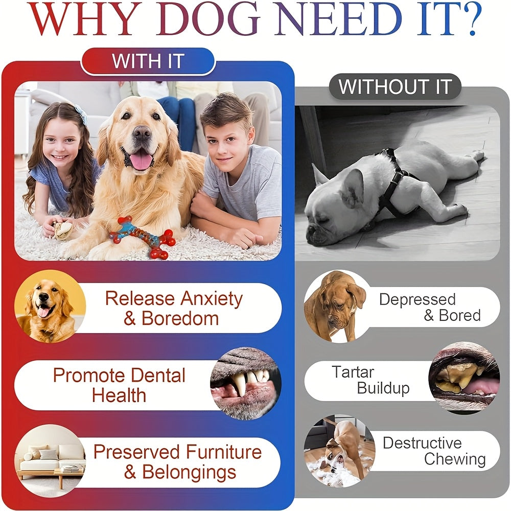 Dog Chew Toys for Aggressive Chewers, Large Breed Chewing Toys in 1 to 5 Piece Pack Options for Supervised Play and Everyday Toy Rotation