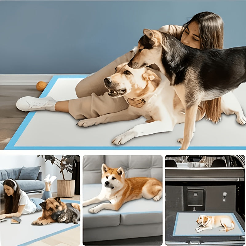 Puppy Training Pads 23.6 x 23.6 Inch, Seven-Layer Absorbent Pet Pee Pads with Leak Resistance and Odor Reduction, 50 to 400 Count Options