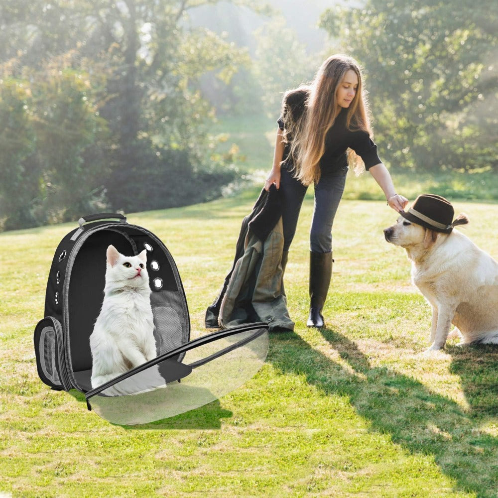 Space Capsule Cat Backpack in Black, Clear Breathable Pet Carrier with Zipper Closure for Cats and Small Dogs, Vet Visits and Outdoor Trips