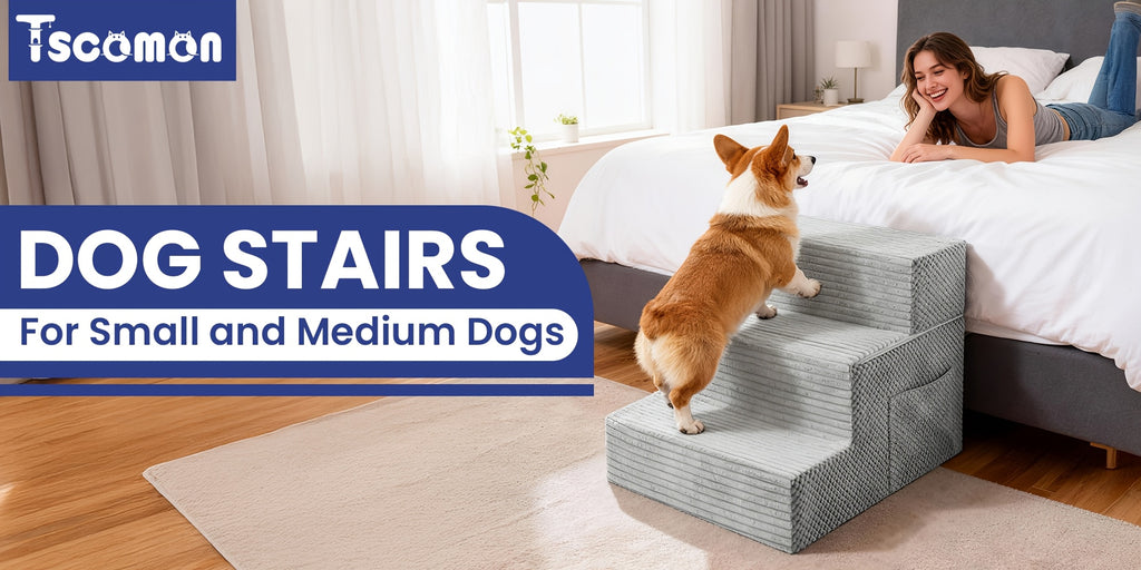 Convertible Dog Stairs with Side Pocket, Dark Gray 3-Step Non-Slip Pet Steps and Ramp for Small Dogs to Reach Suitable Beds, Couches and Chairs