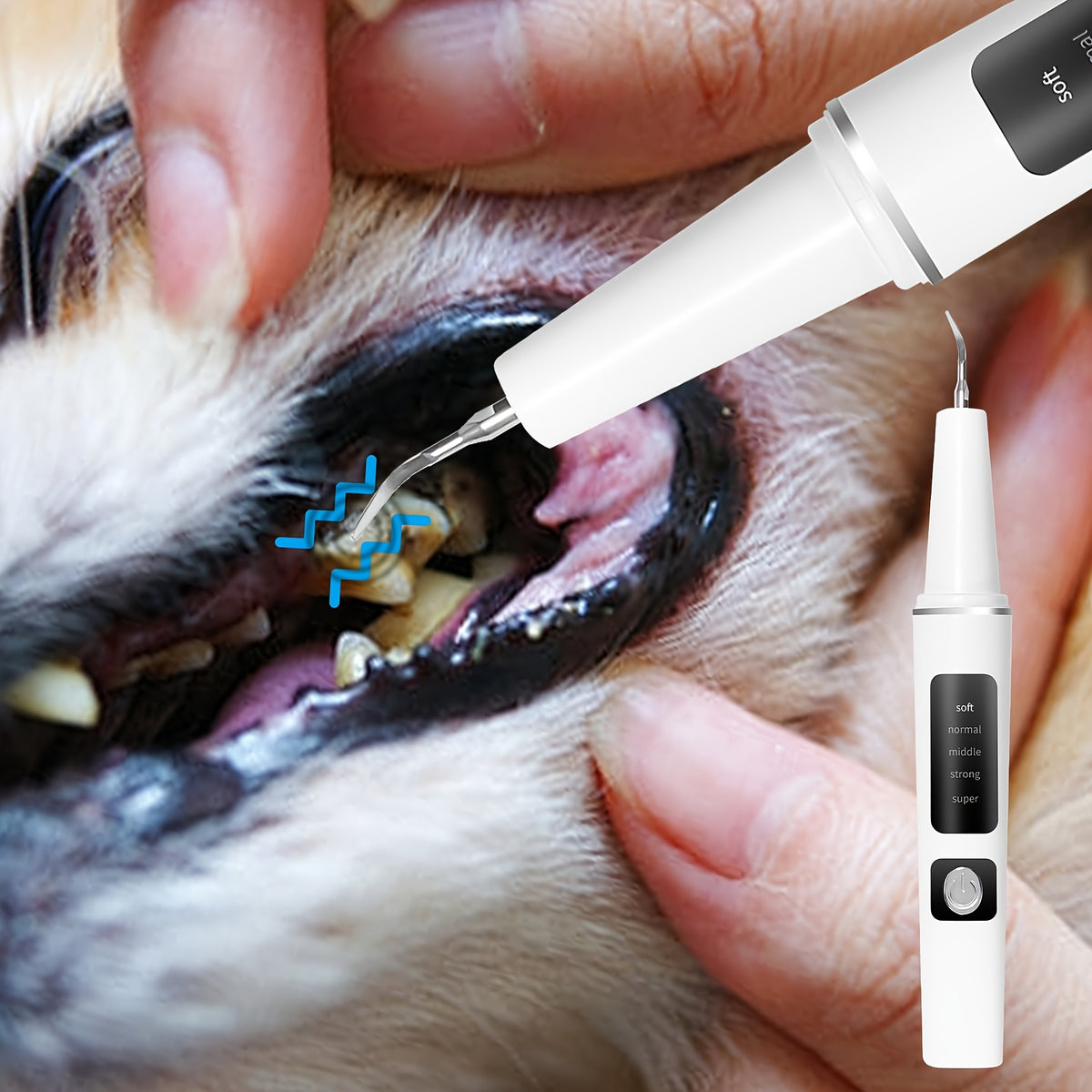 Pet Teeth Cleaning Kit for Cats and Dogs, USB Rechargeable Electric Tooth Cleaner with 4 Cleaning Heads and 5 Modes, Stain and Tartar Remover for At-Home Pet Dental Care, Quiet Low Noise Design