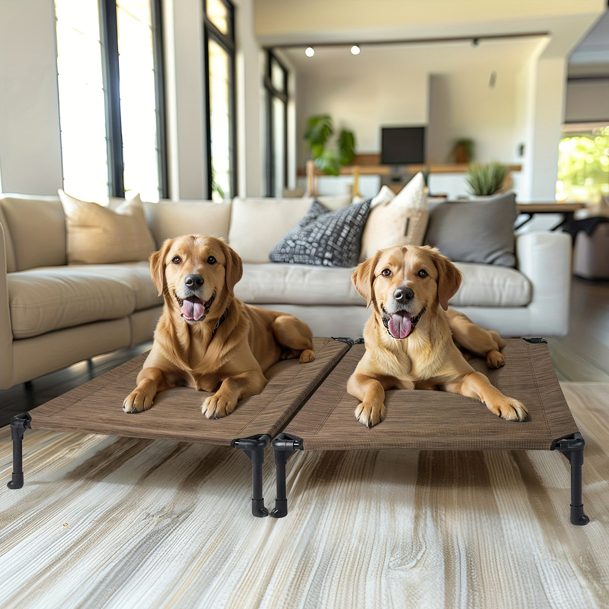 Elevated Dog Bed 2 Pack for Large Dogs, 42 x 30 Inch Breathable Mesh Raised Cots with Non-Slip Feet, Tool-Free Assembly for Indoor, Patio and Camping