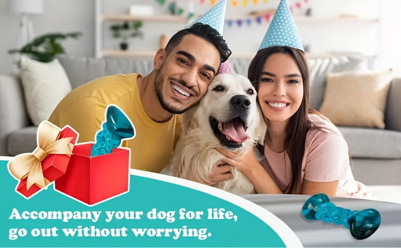 Textured Nylon Dog Chew Toy with Twisted Center and Flared Ends, Blue Bone-Style Pet Toy in Single-Piece Options for Supervised Chewing and Everyday Play