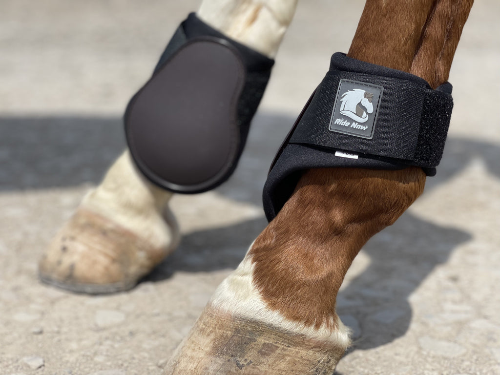 Horse Tendon Boots Set of 4, Open Front and Fetlock Leg Guards in PU and Neoprene for Riding, Jumping and Training, FULL and COB Size Options