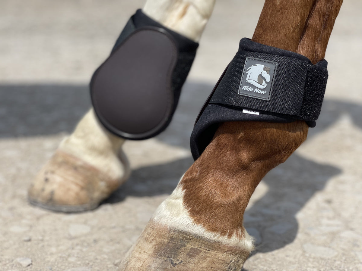 Horse Tendon Boots Set of 4, Open Front and Fetlock Leg Guards in PU and Neoprene for Riding, Jumping and Training, FULL and COB Size Options