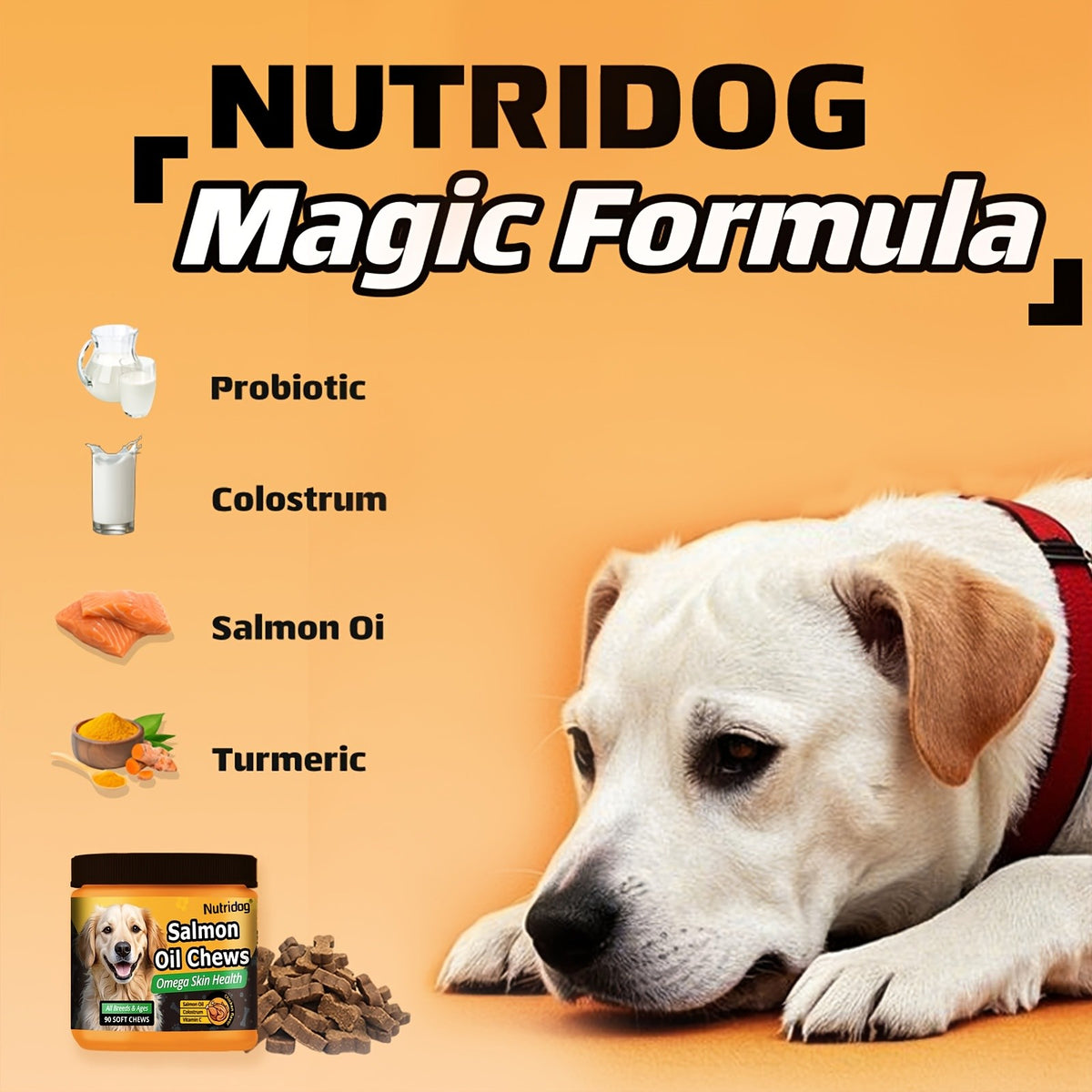 Dog Supplement Soft Chews with Probiotics & Salmon Oil, Chicken Flavor Multivitamin Nutritional Chews in 90 or 270 Count Options