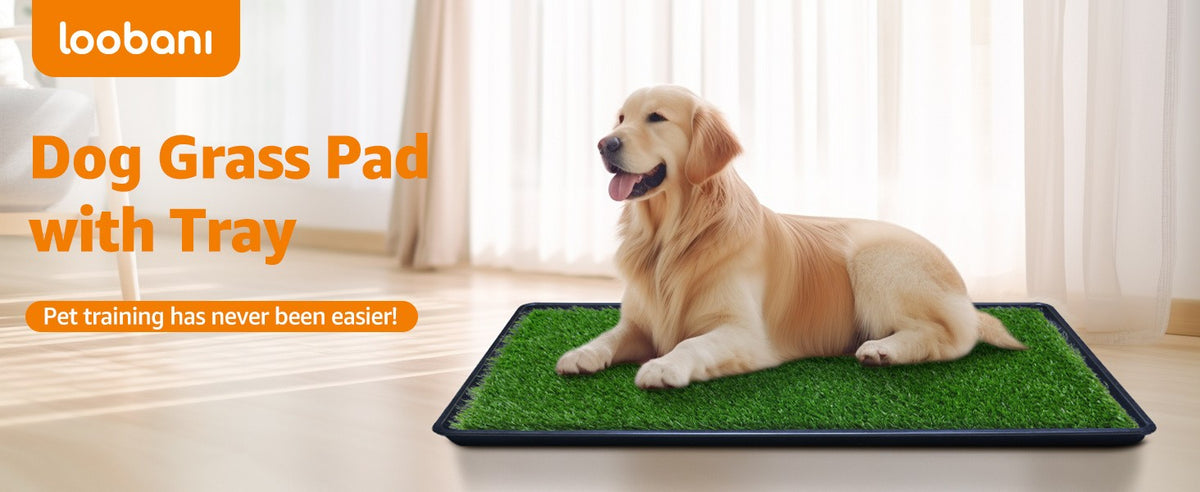 Artificial Grass Dog Potty with Tray and 2 Replacement Grass Pads, Washable Puppy Training Toilet in Three Sizes for Apartments, Balconies and RVs