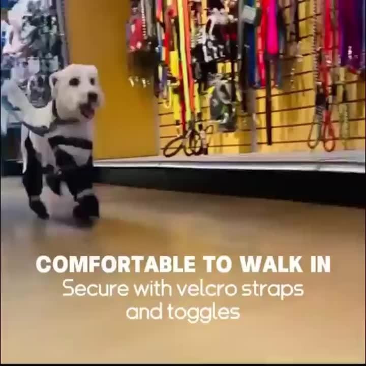 Waterproof Dog Boots for Small Dogs, Adjustable Non-Slip Dog Booties with Rubber Sole for Winter Snow, Rain and Hiking, All-Season Paw Protection Size S