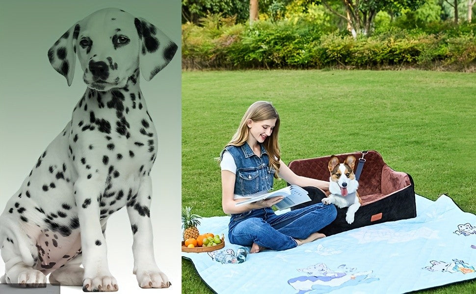 Memory Foam Dog Car Seat with 26 x 15 Inch Interior, Washable Travel Bed with Non-Slip Bottom, Headrest Strap and Tether for Medium Dogs