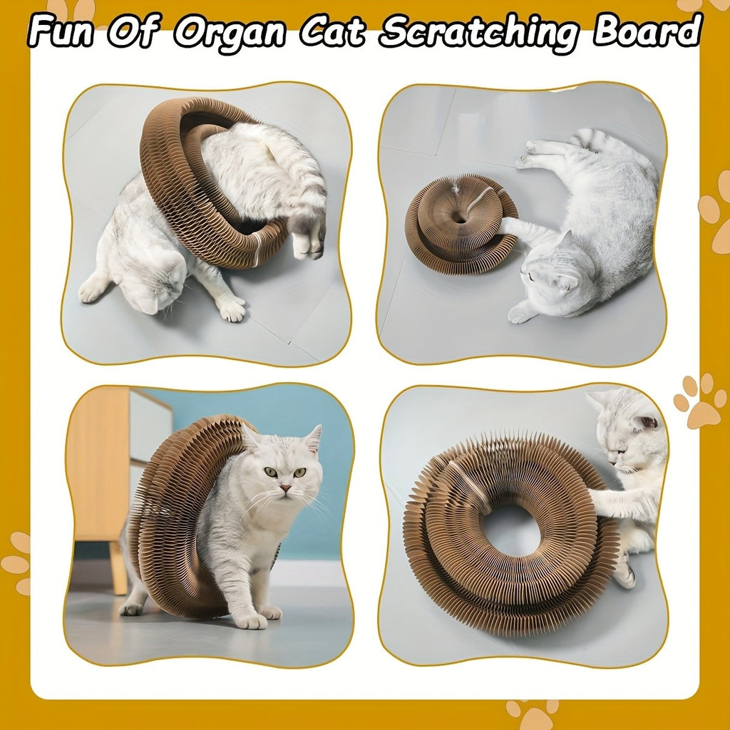 Flower Cat Scratcher Toy with Magnetic Accordion Design, Foldable Corrugated Cardboard Scratching Surface and Bell Ball for Indoor Cat Play