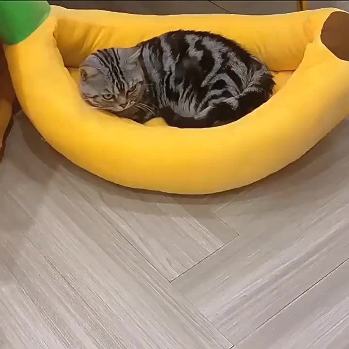Cat Cave Tunnel Bed with Pom-Pom Ball, All-Season Donut Hideaway for Indoor Cat Rest and Play, 20 or 24 Inch Options in Dark Gray and Light Gray