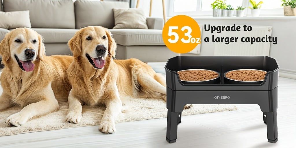 Splash Guard Elevated Dog Bowls with Four Adjustable Heights, Two 53oz Stainless Steel Bowls and Non-Slip Feet for Everyday Food and Water