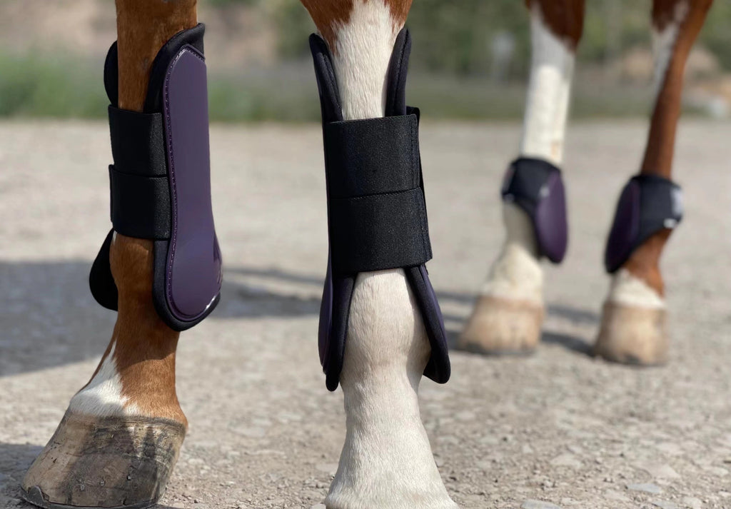 Horse Tendon Boots Set of 4, Open Front and Fetlock Leg Guards in PU and Neoprene for Riding, Jumping and Training, FULL and COB Size Options