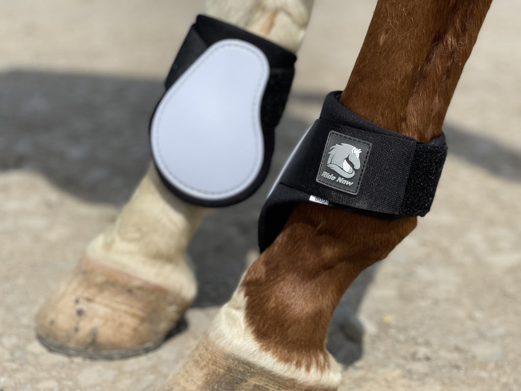 Horse Tendon Boots Set of 4, Open Front and Fetlock Leg Guards in PU and Neoprene for Riding, Jumping and Training, FULL and COB Size Options