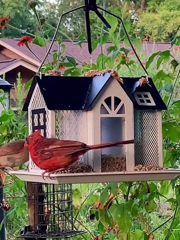 Hummingbird Feeders for Outdoors Hanging, 2-Pack Red 20 oz Nectar Feeders with Ant Moat, Six Flower Feeding Ports and Circular Perch