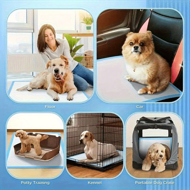Dog Pee Pads 99 Count, 28 x 34 Inch Disposable Absorbent Puppy Potty Training Pads with Leak Protection and Odor Control for Indoor Accident Cleanup