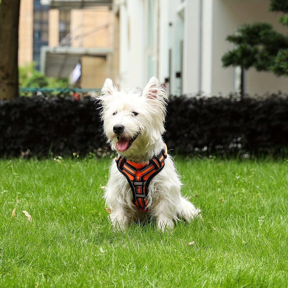 Front Clip No-Pull Dog Harness with Reflective Control Handle, Adjustable Walking Gear for Small, Medium and Large Dogs, S to XL Color Options