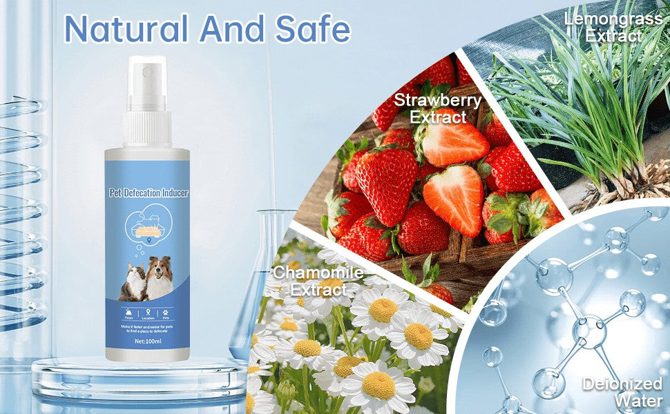 Puppy and Kitten Potty Training Spray, Indoor Pet House Training Aid in Spray Bottles for Consistent Toilet Routines, 2 or 4 Piece Pack Options