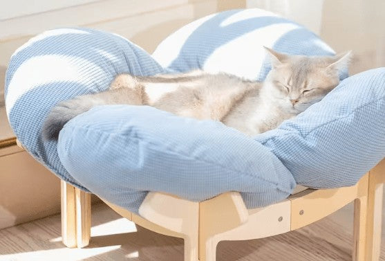 Raised Wooden Cat Bed with Sky Blue Cushion, Solid Wood High-Leg Pet Sofa for Cats and Small Dogs, Includes Assembly Hardware and Tools