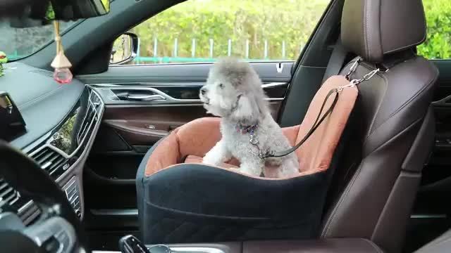 Plush Dog Car Seat with Memory Foam Cushion, Cozy Pet Travel Seat for Dogs and Cats with Side Storage Pockets and 3 Clip-On Leashes