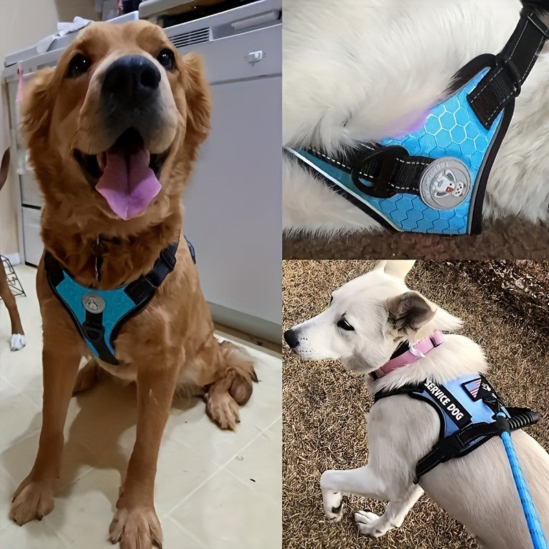 Dog Harness Walking Kit with Reflective No-Pull Adjustable Harness, Leash, Water Bowl and Two Bag Holders, 5-Piece Set for Small Medium and Large Dogs
