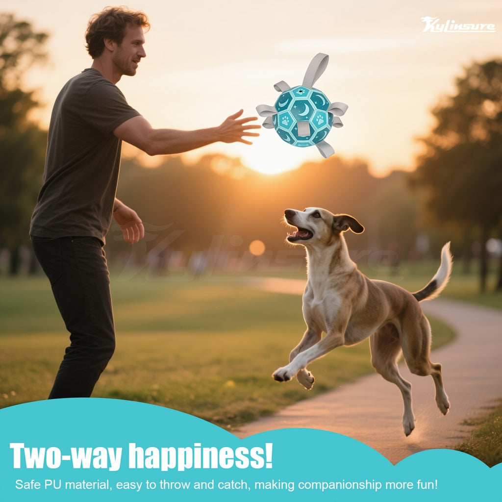 Dog Fetch Ball with Rope, Football-Style Interactive Pet Toy in 6 or 7.25 Inch Sizes for Supervised Retrieve Games, Training and Christmas Gifts
