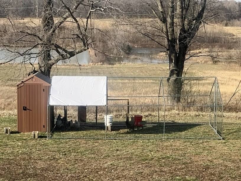 Metal Chicken Coop with UV-Resistant Cover, Walk-In Outdoor Poultry Enclosure for Backyard Hens with Flat, Dome or Spire Roof Options