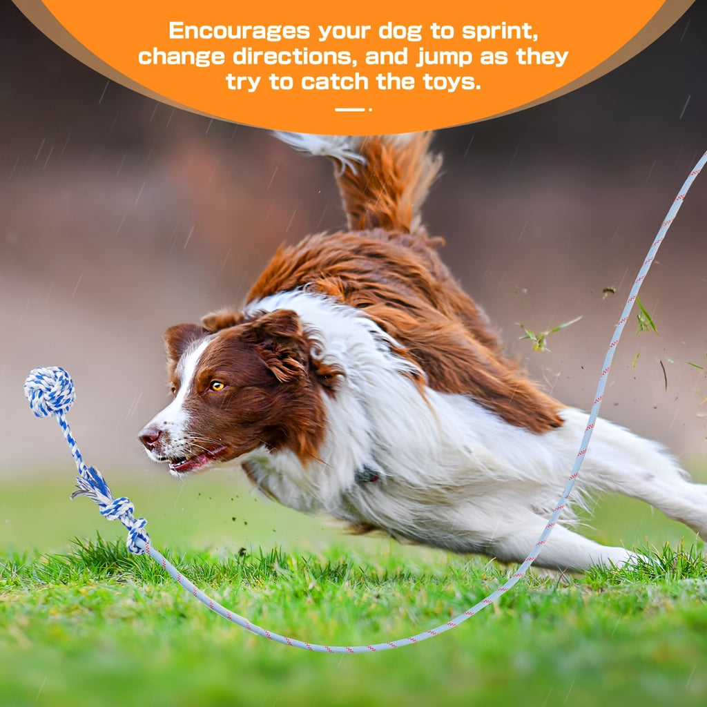 Dog Flirt Pole with Extendable Aluminum Alloy Wand and Detachable Lure, Interactive Chase Toy for Exercise and Obedience Training