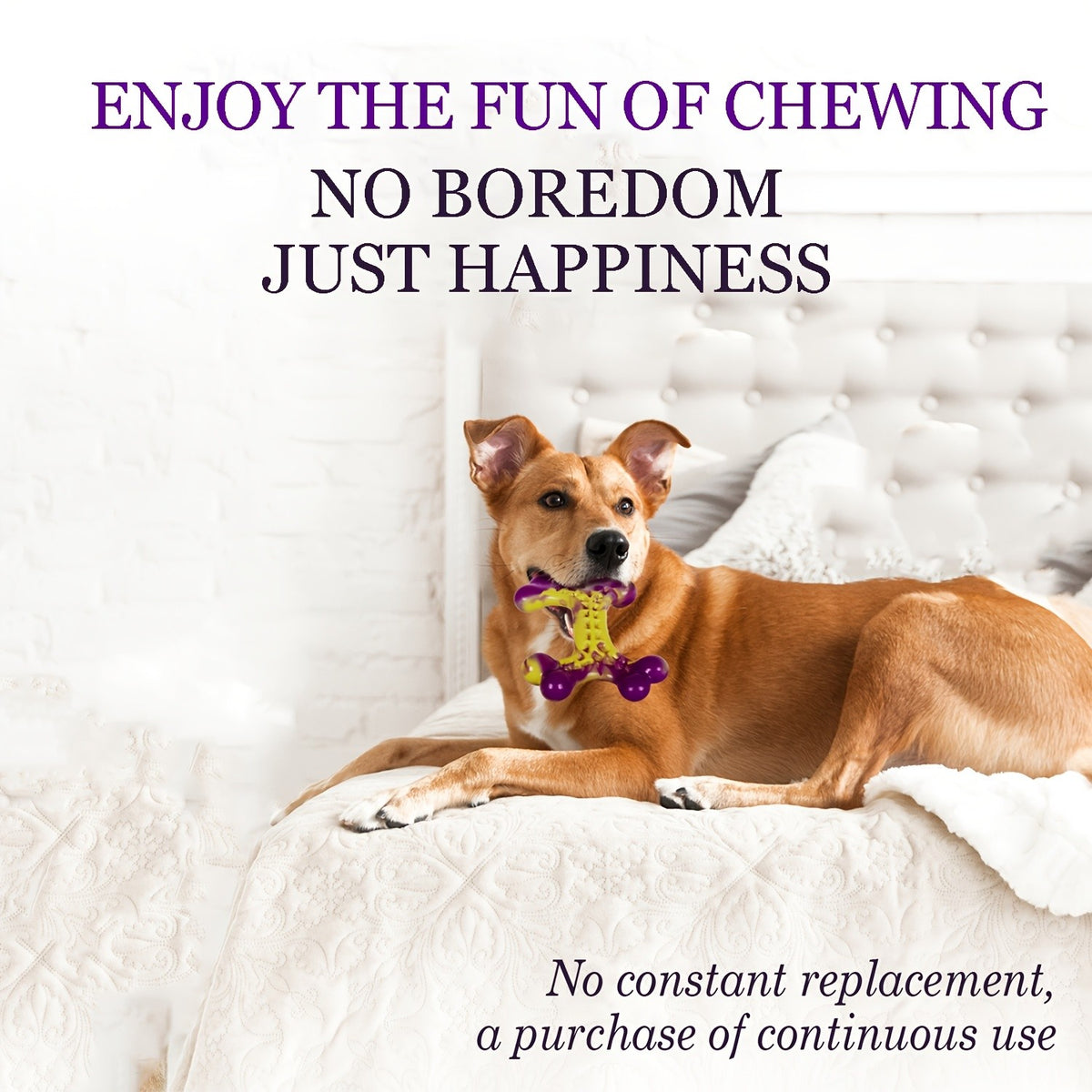 Nylon Dog Chew Bones for Medium and Large Dogs, Beef or Peanut Butter Flavor Options, 1 or 2 Piece Tough Toys for Supervised Chewing
