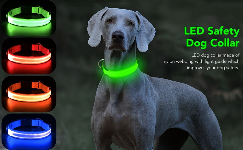Light Up Dog Collar with 4 Bells, Micro USB Rechargeable LED Nylon Pet Collar with Adjustable Fit, Plastic Buckle and D-Ring for Night Walks