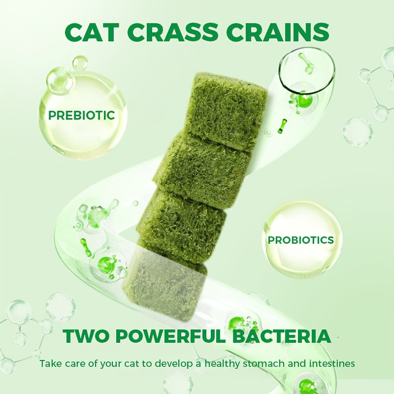 Cat Grass Pellets 150g / 5.29 oz, Freeze-Dried Crunchy Cat Treats for Supervised Snack Time, Everyday Rewards and Cat Owner Gift Baskets