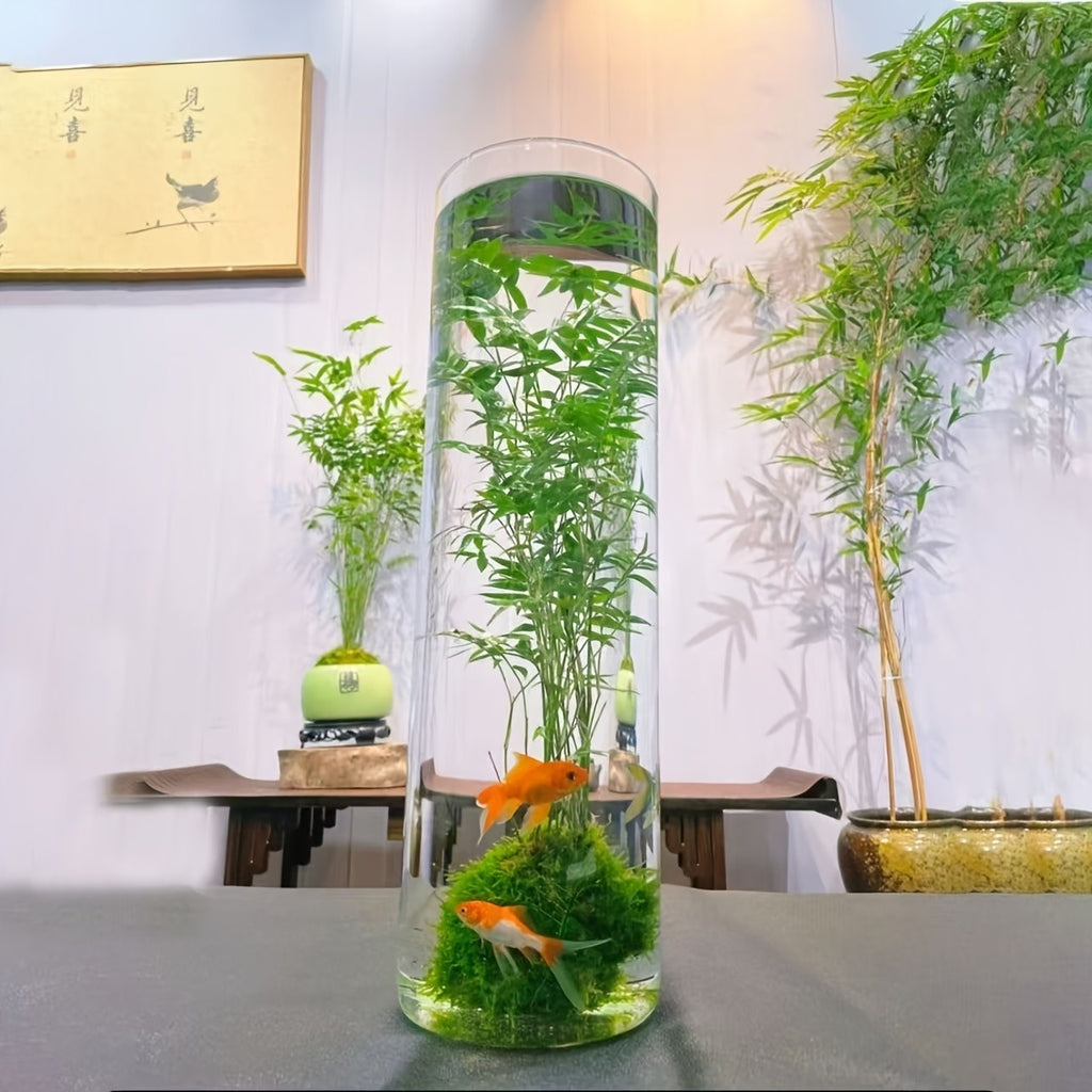 Acrylic Fish Tank with Round Cylindrical Design, 13.78 x 5.90 Inch Ornamental Aquarium Container for Home Aquatic Displays and Fishkeeping Setups