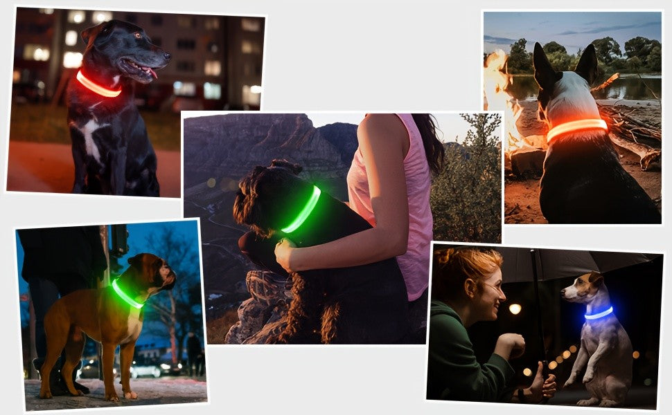 Light Up Dog Collar with 4 Bells, Micro USB Rechargeable LED Nylon Pet Collar with Adjustable Fit, Plastic Buckle and D-Ring for Night Walks