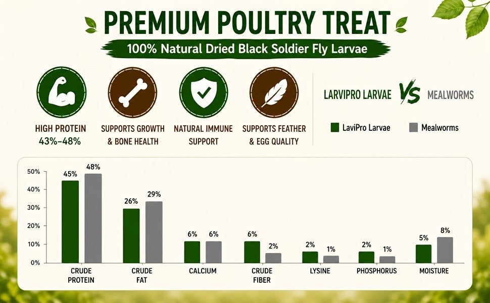 Chicken Grub Treats, Dried Black Soldier Fly Larvae in 5.5 lb or 11 lb Packs for Backyard Hens, Ducks and Wild Birds, Supplemental Foraging Snacks