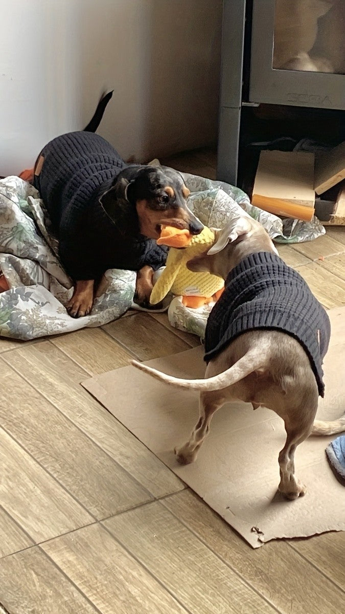 Black High Neck Pet Sweater with Ribbed Cuffs and Snap Buttons, Polyester Clothing for Dogs and Cats, XS M L XL XXL Options for Cool Weather