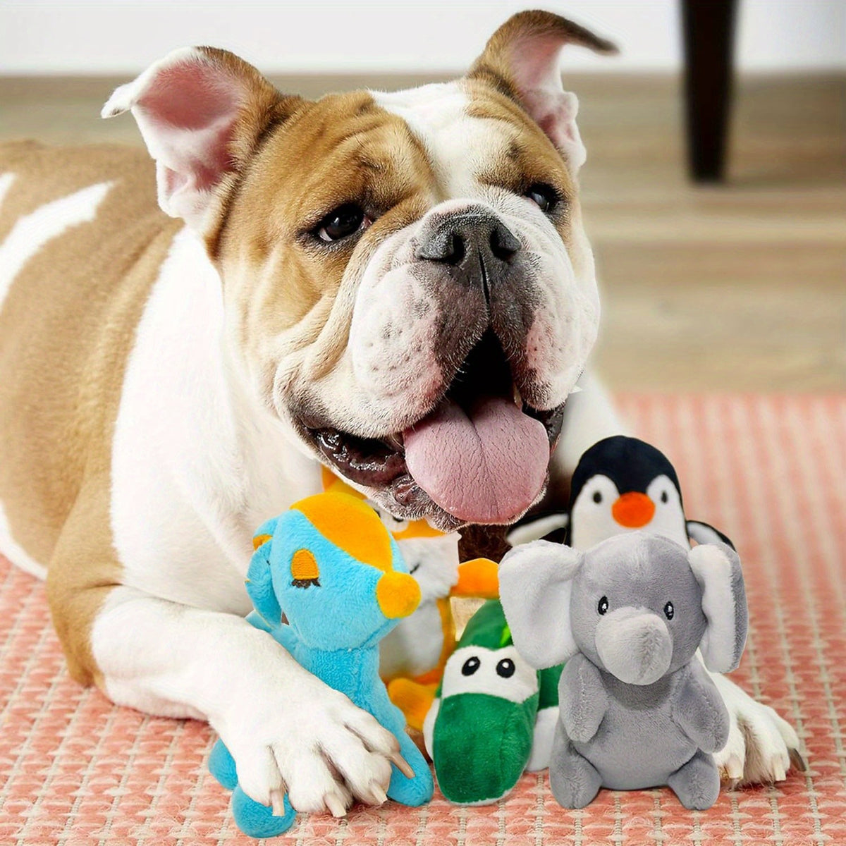Squeaky Dog Toy Gift Set 12 Pack, Soft Stuffed Animal Puppy Toys with Storage Box for Small and Medium Dogs, Gentle Chewing and Supervised Fetch