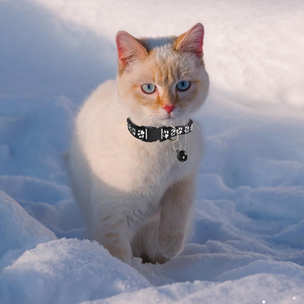 Cat Collars with Bells 38 Pack, Adjustable Reflective Paw Print Pet Collar Set in Assorted Colors for Cats and Small Dogs, Buckle Closure