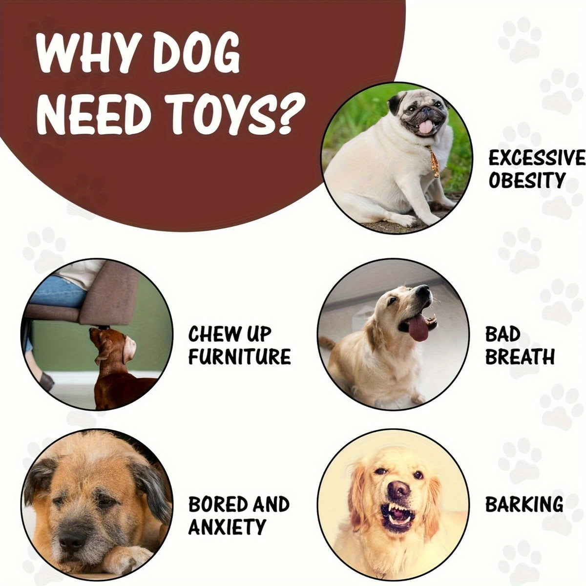 Squeaky Dog Toy Assortment with Rope and Plush Animal Designs, Random 6, 8 or 10 Piece Packs for Supervised Gentle Tug and Interactive Play
