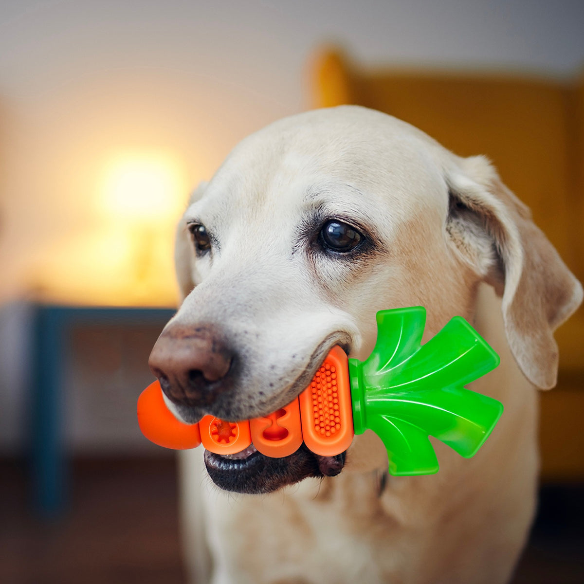Dog Chew Toy with Beef and Bacon Flavor, Nylon Pet Chewing Toy for Medium and Large Dogs, Bacon-Carrot or 2-Piece Options for Supervised Play